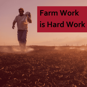 Farmer walking across dusty field at sunset